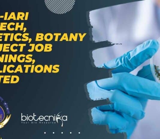 IARI Project Jobs 2022