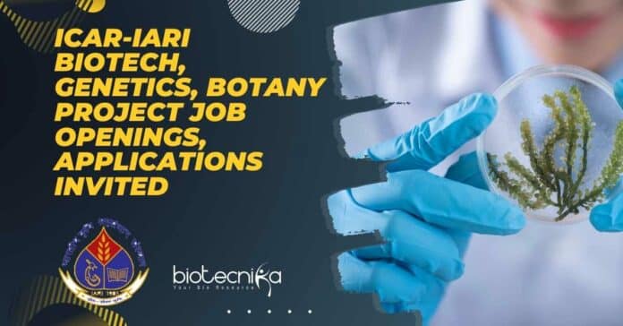 IARI Project Jobs 2022