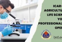 ICAR-IARI Agriculture & Life Sciences Young Professional Job Opening IARI Young Professional Job