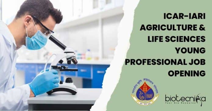 IARI Young Professional Job