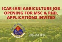 ICAR-IARI Agriculture Job Opening For MSc & PhD, Applications Invited ICAR-IARI Agriculture Job Opening