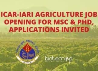 ICAR-IARI Agriculture Job Opening