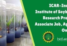 ICAR-Indian Institute of Soybean Research Project Associate Job, Apply Online IISR Project Job Opening