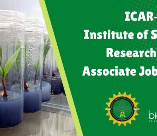 IISR Project Job Opening