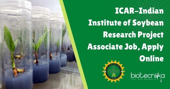 IISR Project Job Opening
