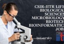 CSIR-IITR Life, Biological Sciences, Microbiology, Biotech, Bioinformatics Jobs IITR Jobs