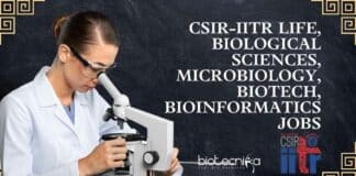 IITR Jobs