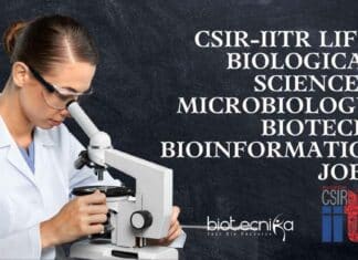 IITR Jobs