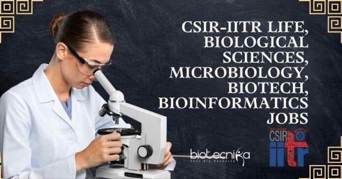 IITR Jobs
