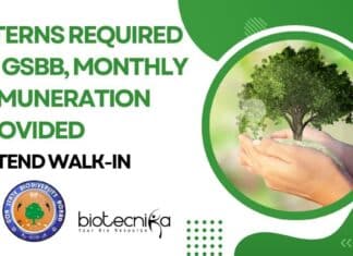 Interns Required at GSBB