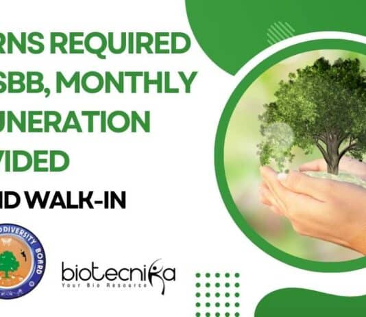 Interns Required at GSBB