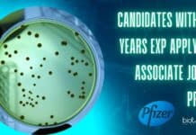 Candidates With 0-4 Years Exp Apply For Associate Job at Pfizer Microbiology Jobs 2022 Pfizer