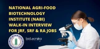 NABI Research Personnel Recruitment