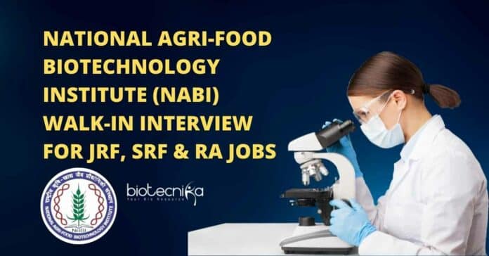 NABI Research Personnel Recruitment