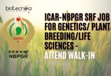 ICAR-NBPGR SRF Job For Genetics/ Plant Breeding/Life Sciences – Attend Walk-In NBPGR SRF Job