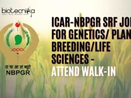 NBPGR SRF Job