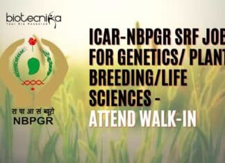 NBPGR SRF Job