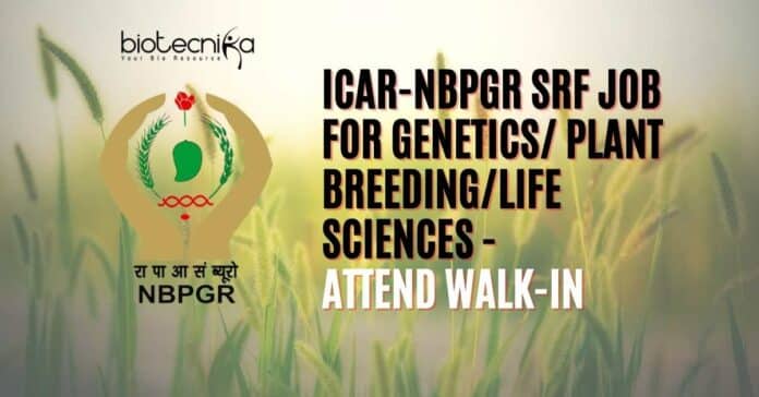 NBPGR SRF Job