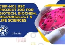 CSIR-NCL BSc Project Job For Biotech, Biochem, Microbiology & Life Sciences NCL BSc Project Job