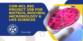 NCL BSc Project Job