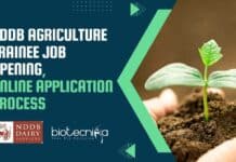 NDDB Agriculture Trainee Job Opening, Online Application Process NDDB Agriculture Trainee Job