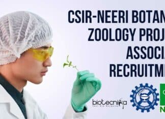NEERI Zoology Job
