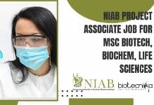 NIAB Project Associate Job For MSc Biotech, Biochem, Life Sciences NIAB 2022 Project Job