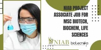 NIAB 2022 Project Job