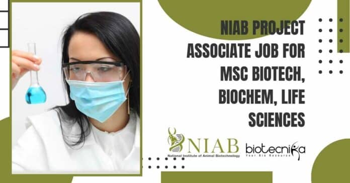 NIAB 2022 Project Job