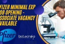 Pfizer Minimal Exp Job Opening – Associate Vacancy Available Pfizer Jobs 2022 Microbiology