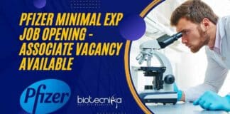 Pfizer Jobs 2022 Microbiology