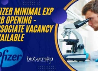 Pfizer Jobs 2022 Microbiology
