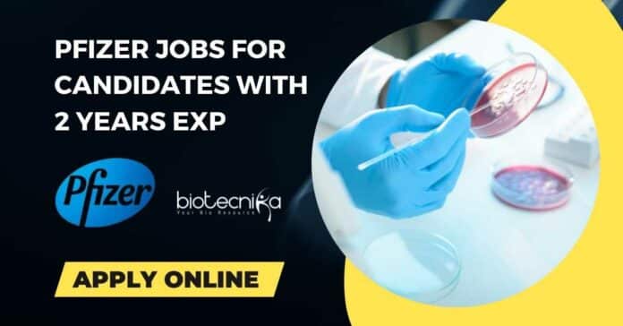 Pfizer Vacancy 2022