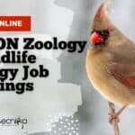 SACON Zoology & Wildlife Biology Job Openings – Apply Online SACON Biologists Jobs 2022