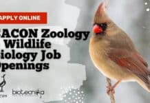 SACON Zoology & Wildlife Biology Job Openings – Apply Online SACON Biologists Jobs 2022