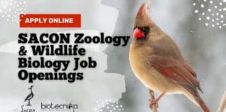 SACON Biologists Jobs 2022