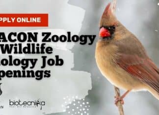 SACON Biologists Jobs 2022