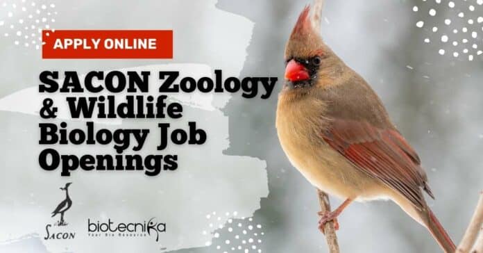 SACON Biologists Jobs 2022