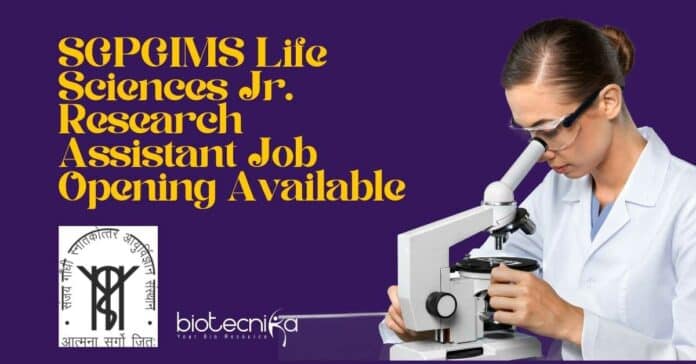 SGPGIMS Research Assistant Job