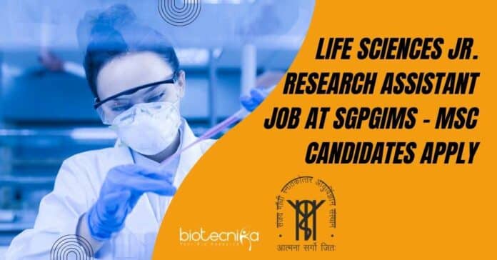 SGPGIMS Research Assistant Job
