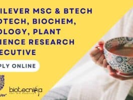 Unilever Research Executive Job