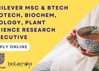 Unilever Research Executive Job