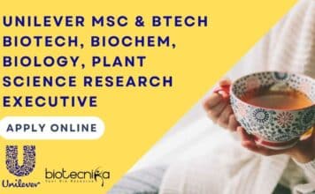 Unilever Research Executive Job