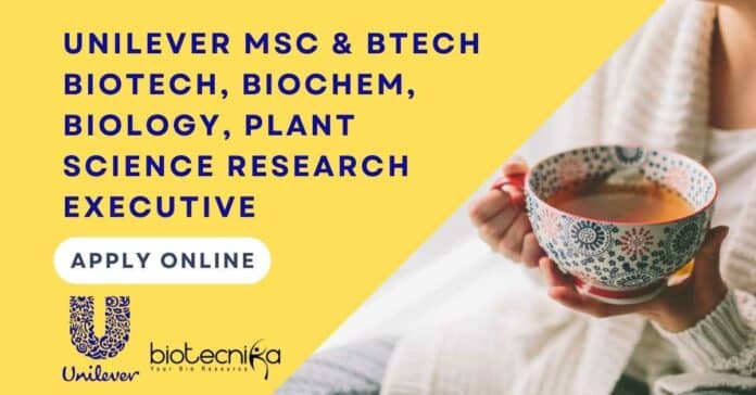 Unilever Research Executive Job