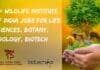 15+ Wildlife Institute of India Jobs For Life Sciences, Botany, Zoology, Biotech WII Job Vacancies 2022