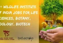 15+ Wildlife Institute of India Jobs For Life Sciences, Botany, Zoology, Biotech WII Job Vacancies 2022