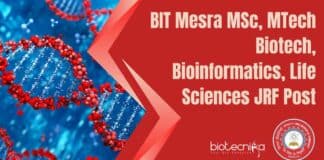 BIT Mesra JRF Post