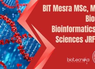 BIT Mesra JRF Post