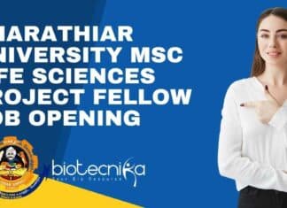 Bharathiar University Project Job