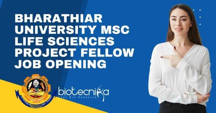 Bharathiar University Project Job